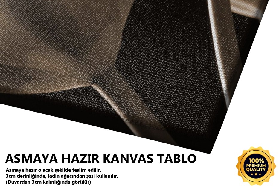 Profil Iı -2008 Tablo