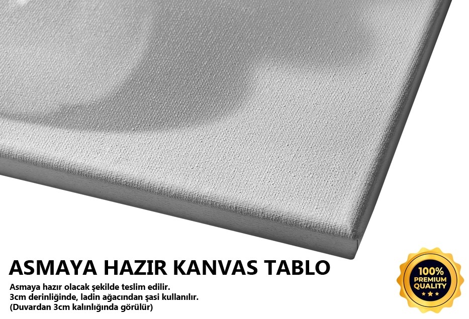 Saksıda Güne Bakan Tablo