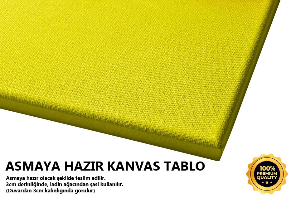 Kırkayak 2 Tablo