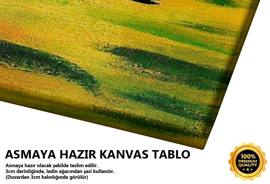 Afrikalı Kadın Tablo