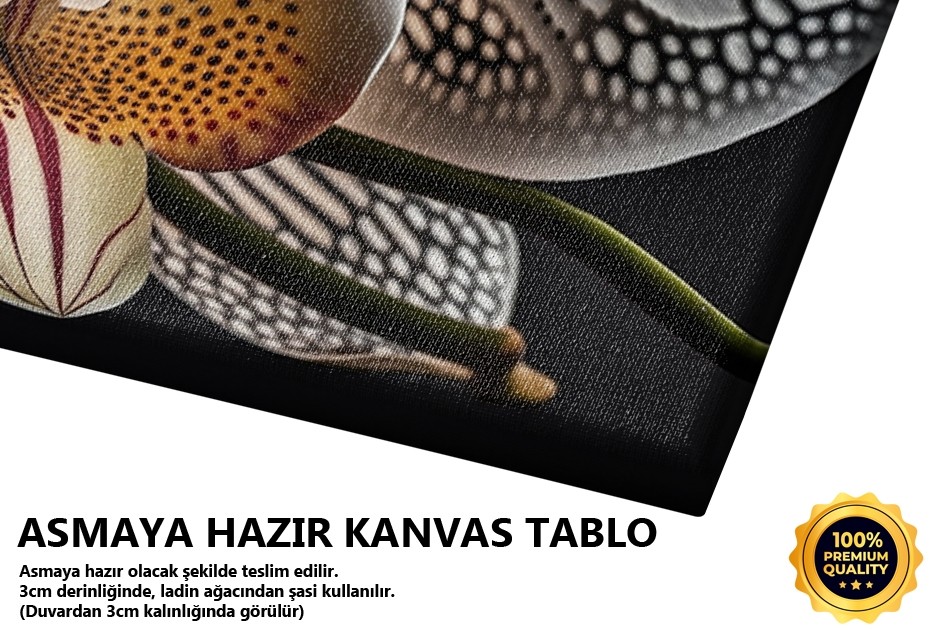 Beyaz Orkide Çiçeği