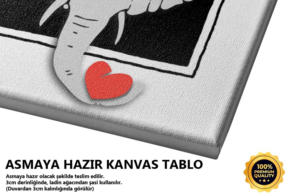 Şaşı Fil Tablo