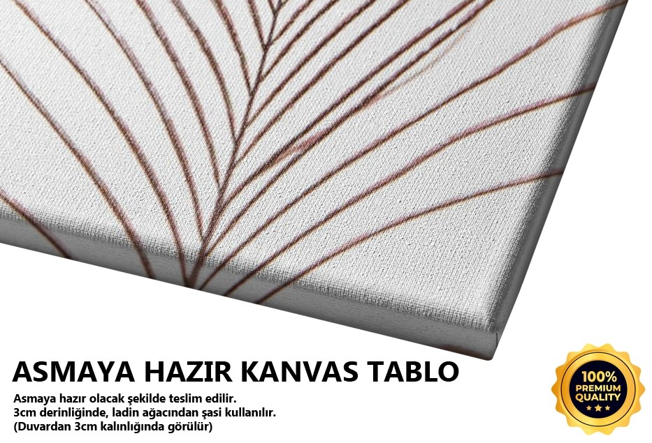 Tavuşkuşu Tüyü 1 Tablo