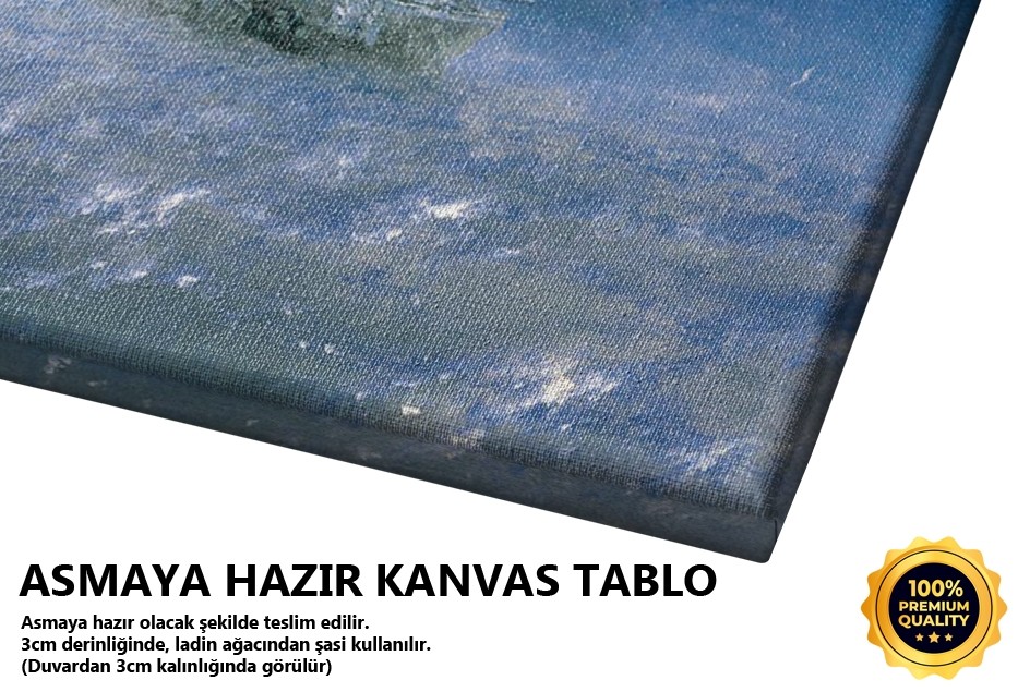 Buzlu Fırtınalı Denizde Gemi, 1886 Tablo