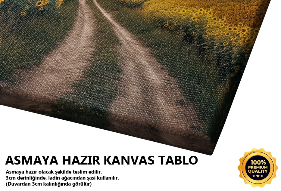 Ayçiçeği Tarlası ve Gün Batımı
