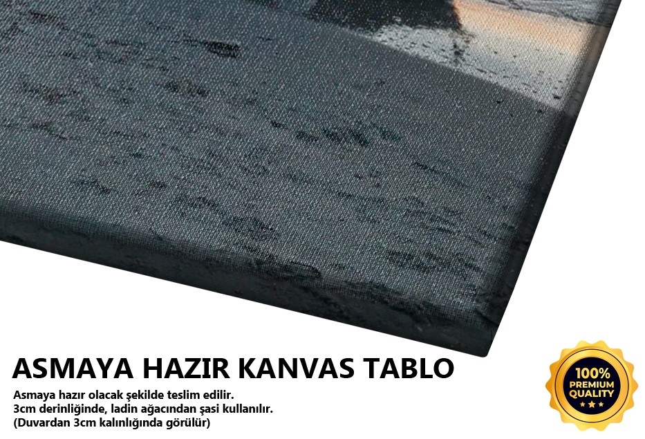 Sahildeki Kayık Tablo