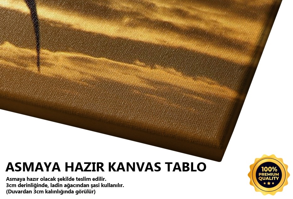 Güneşin Tadına Bakmak İstedi Tablo