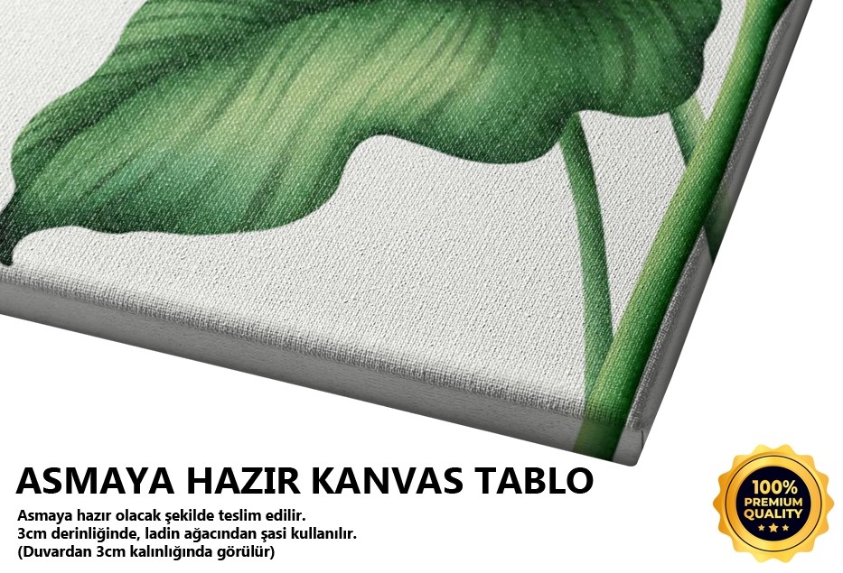 Gala Çiçeği Tablo