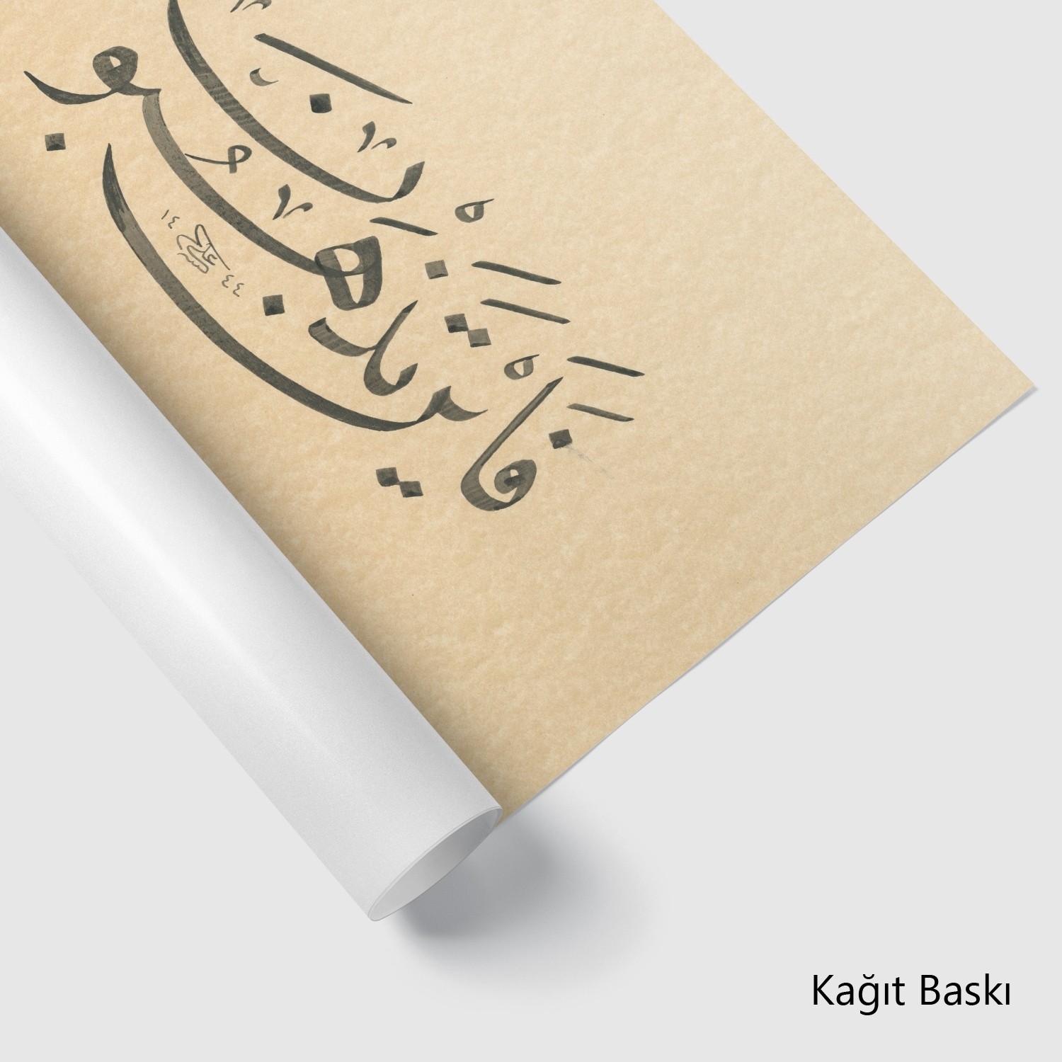 Feeyne Tezhebun (Baskı)