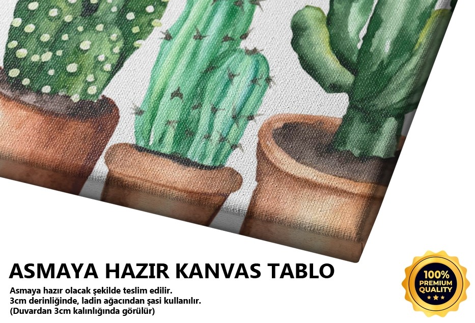 Kaktüsler Tablo