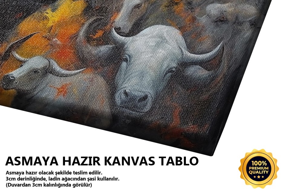 Renkli Enerji Patlaması