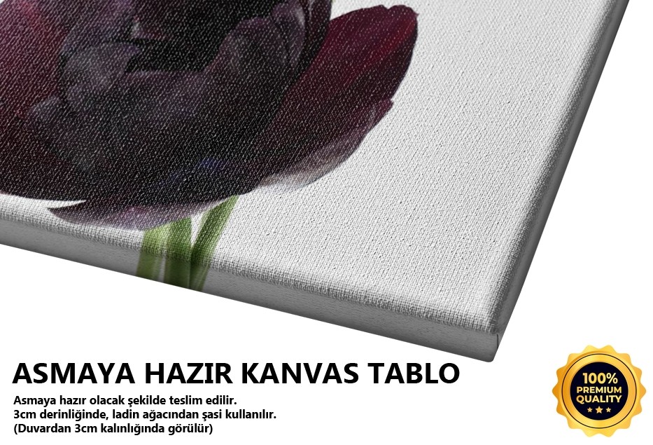 Laleler Tablo