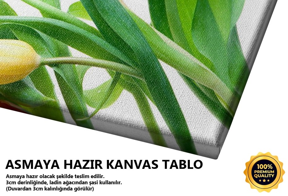 Laleler Tablo