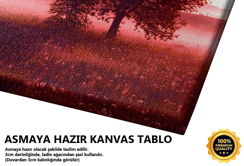 Kırmızı Ağaçlı Gün Doğumu