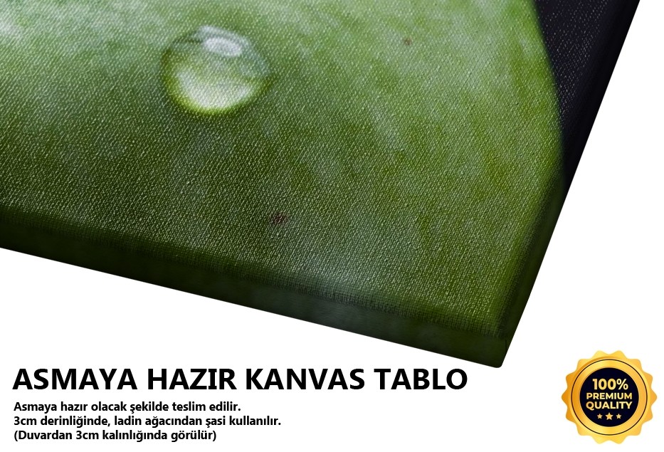 Yeşil Elma Tablo