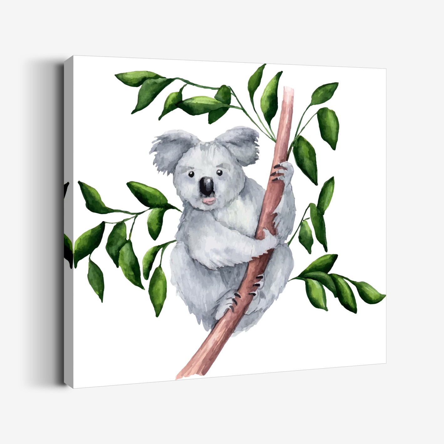 Koala Tablo