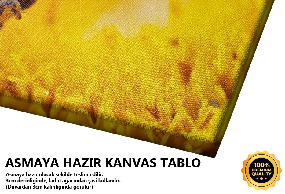 Arı Tablo