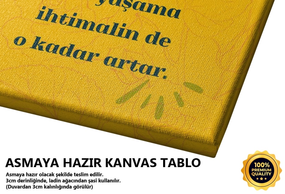 Hayat Tablo