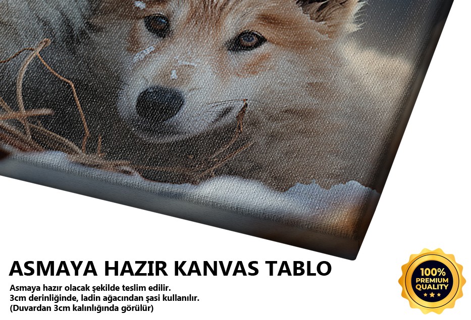 Karda Oynayan Yavru Köpek