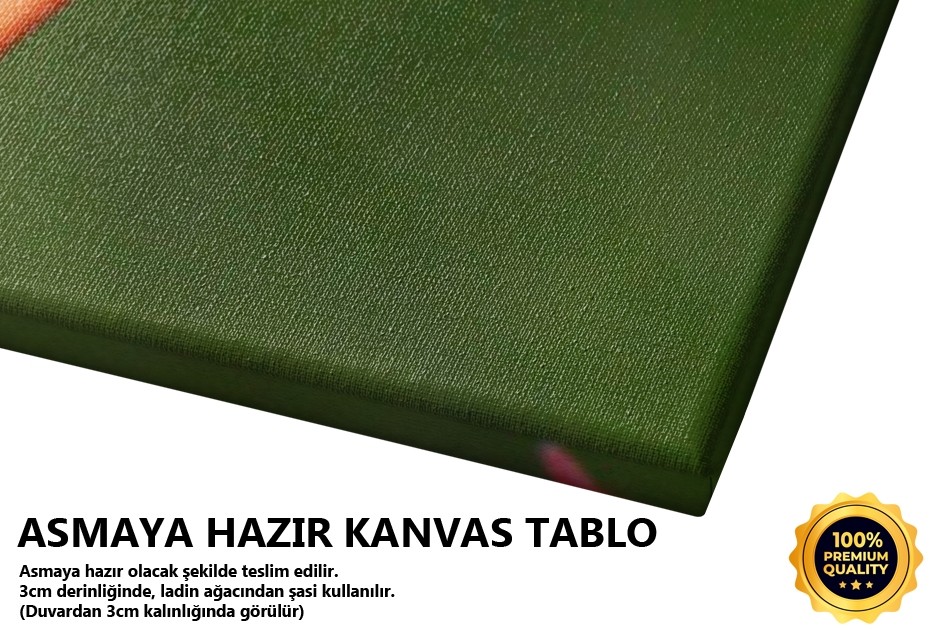 İstanbul Lalesi 1 Tablo