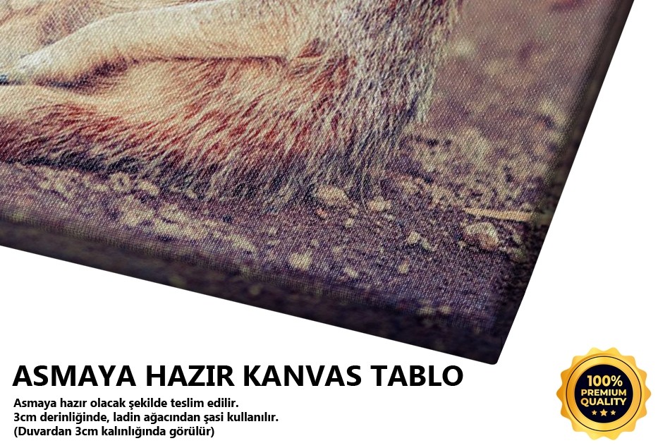 Oturan Mirket Tablo