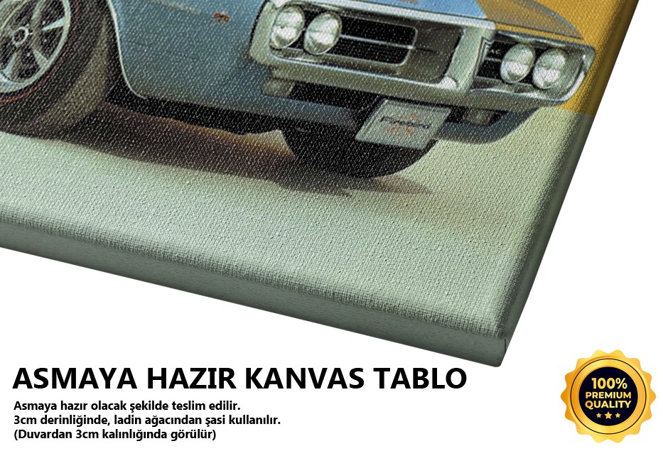 Klasik Açık Mavi Amerikan Aracı
