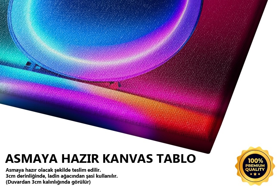 Neon Işıklı Renkli Gitar