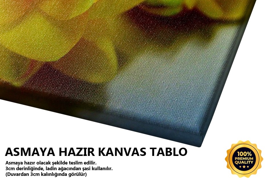 Sarı Çiçekler -2007 Tablo