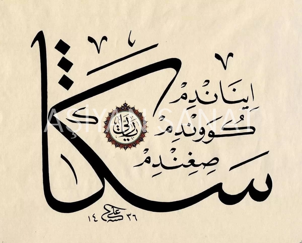 Özlü Söz (Baskı)