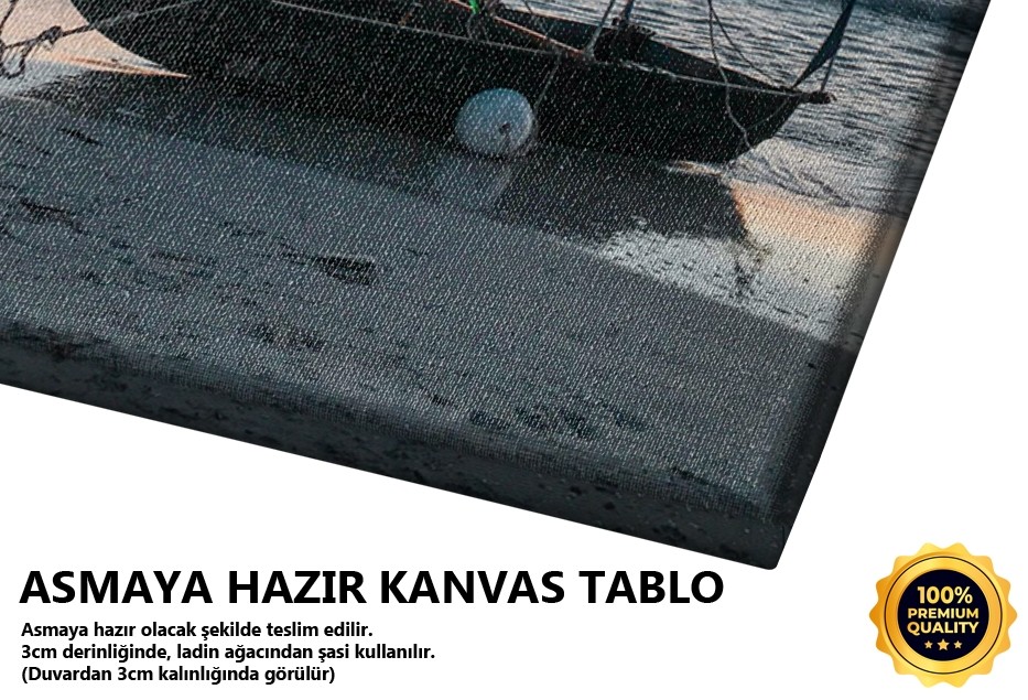 Sahildeki Kayık Tablo