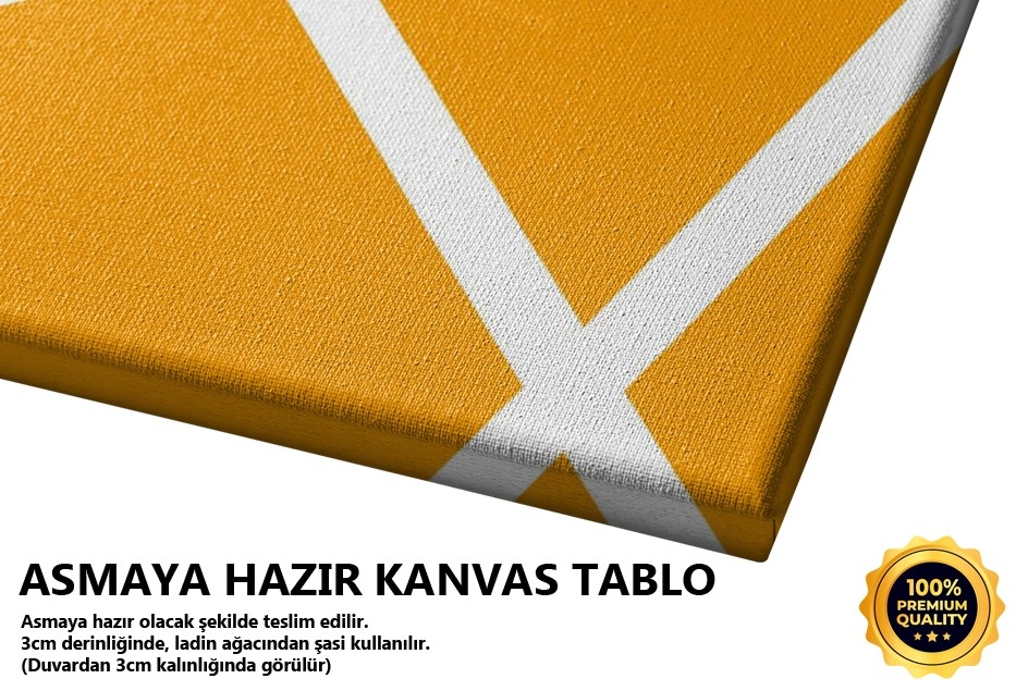 Üçlü Çizgisel Set 2 Tablo