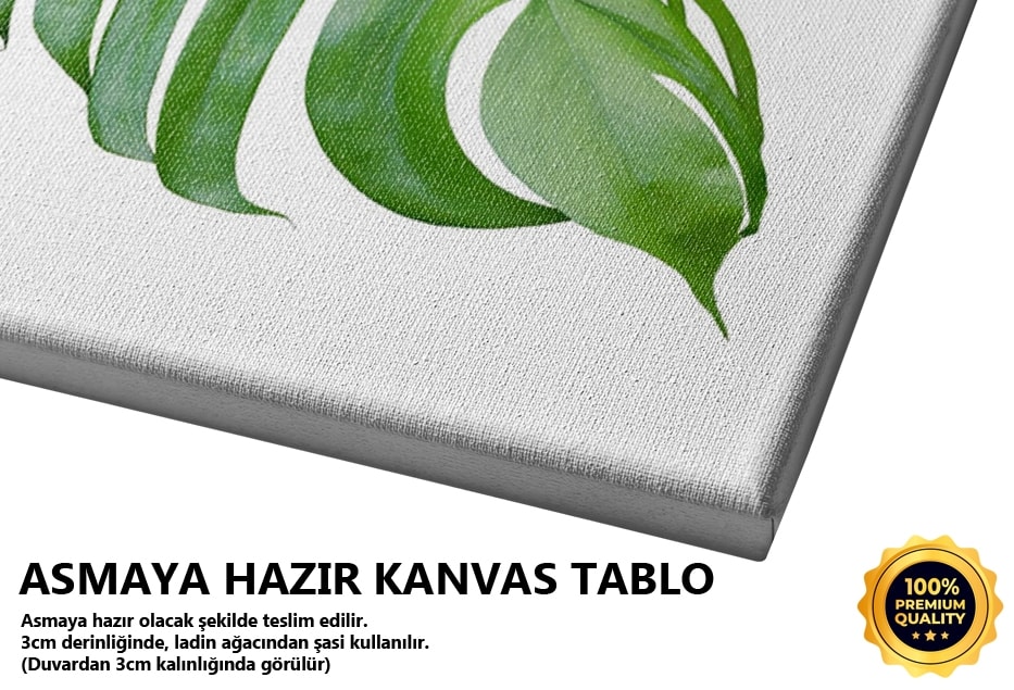 Kıvrık Monstera Tablo