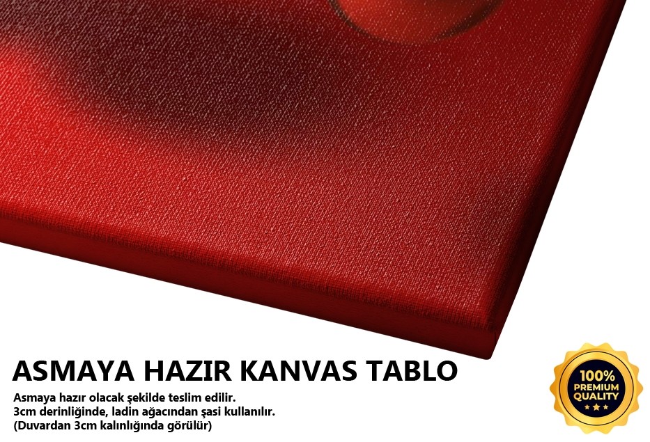 Newton'un Beşiği Tablo