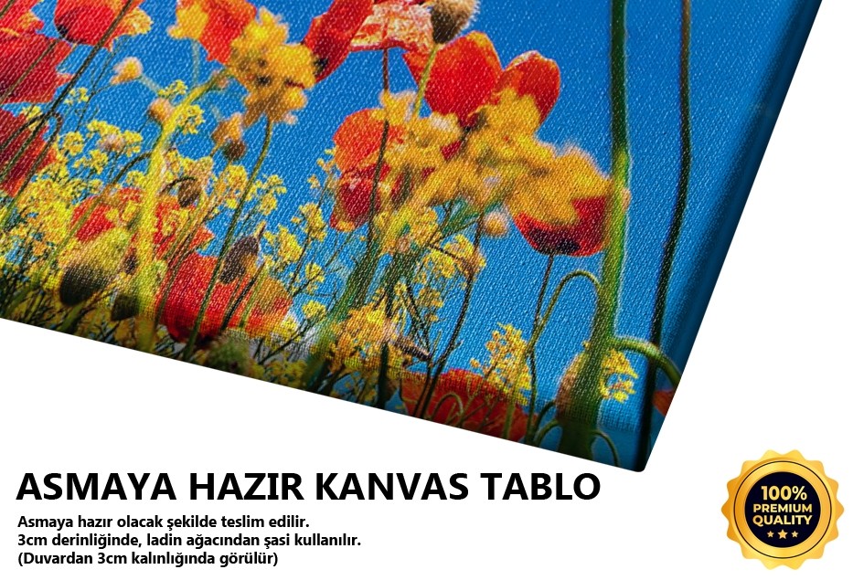 Bahar Sabahı Tablo