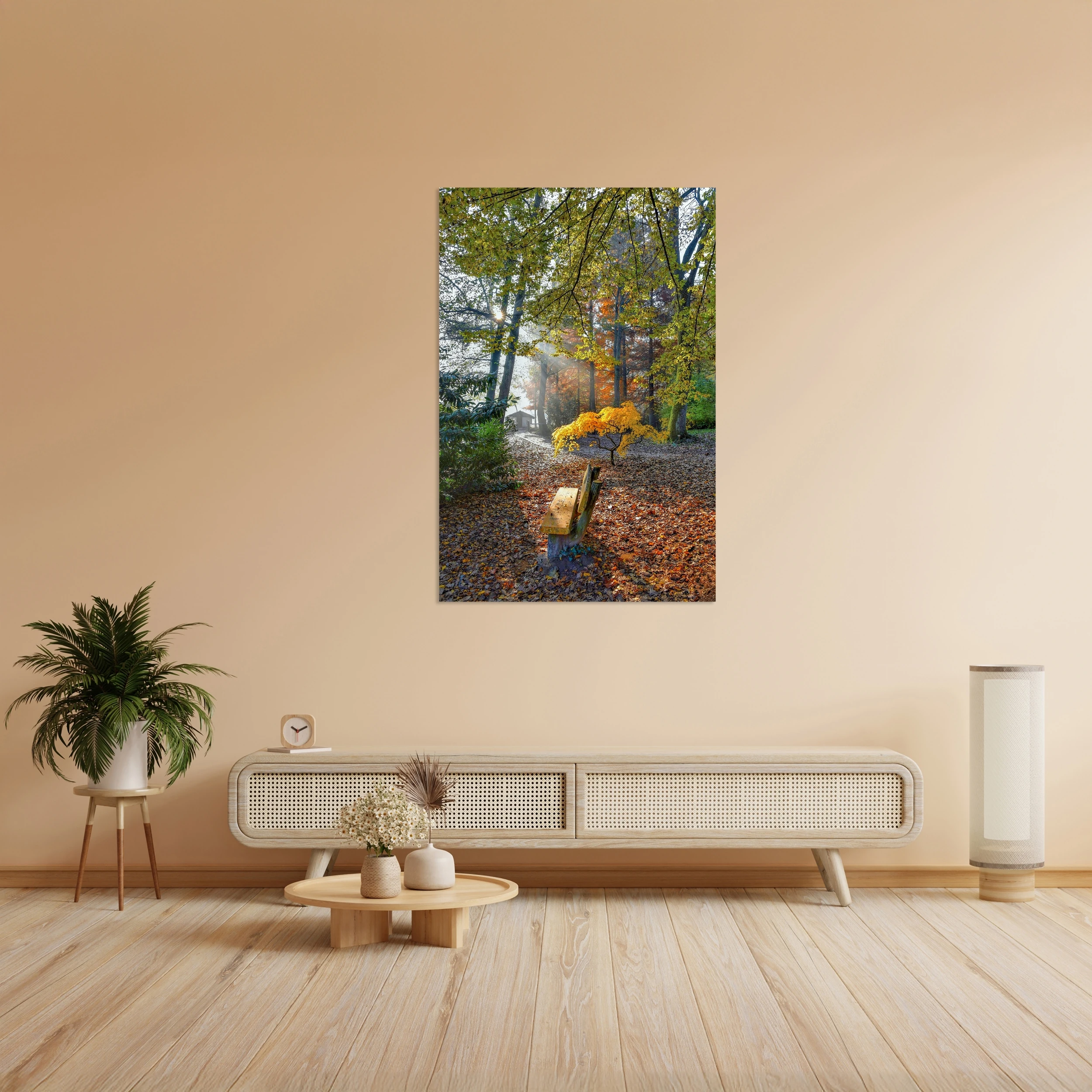 Işık Hüzmesi ve Sonbahar