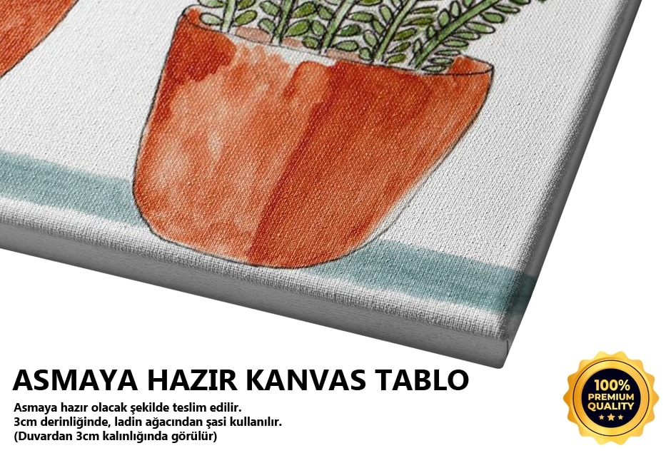 Üçlü Sukulent Tablo