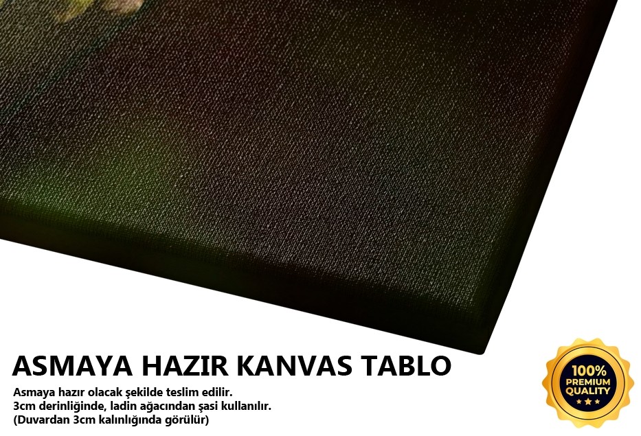 Papatya Tablo