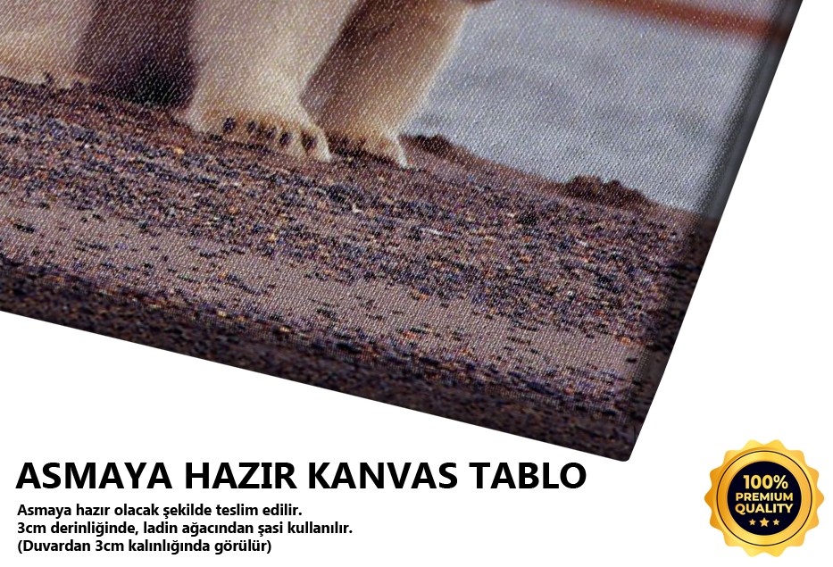 Ayı Ailesi Tablo