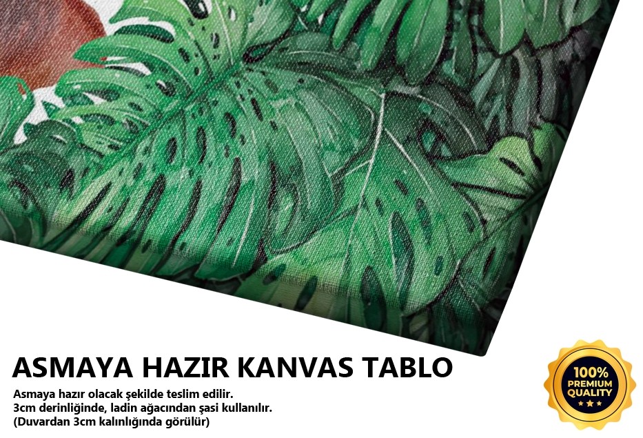 Devetabanı & Geyik Tablo
