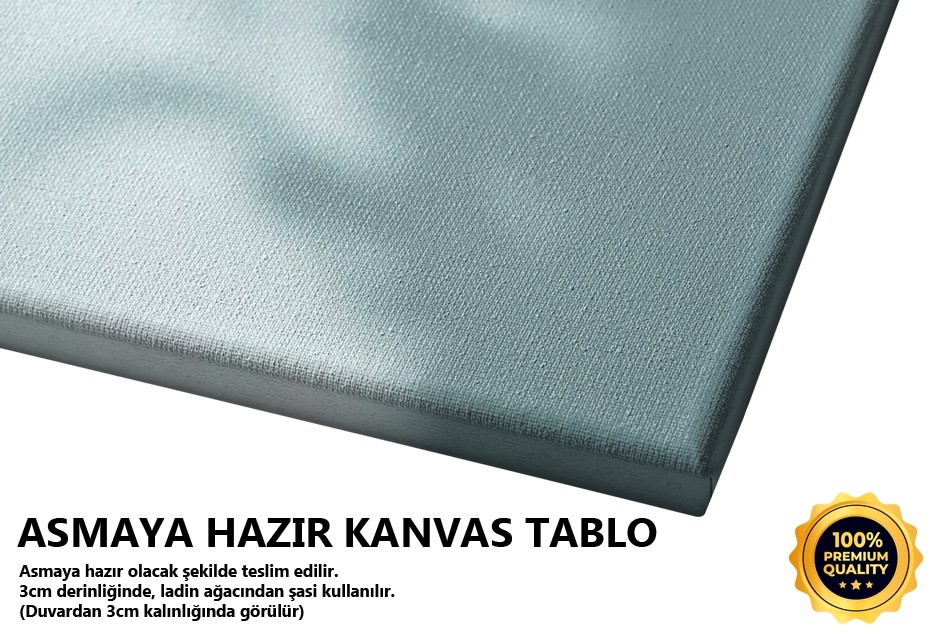 Yeşilim Tablo
