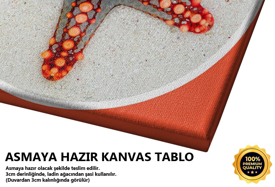 Deniz Yıldızı 2 Tablo