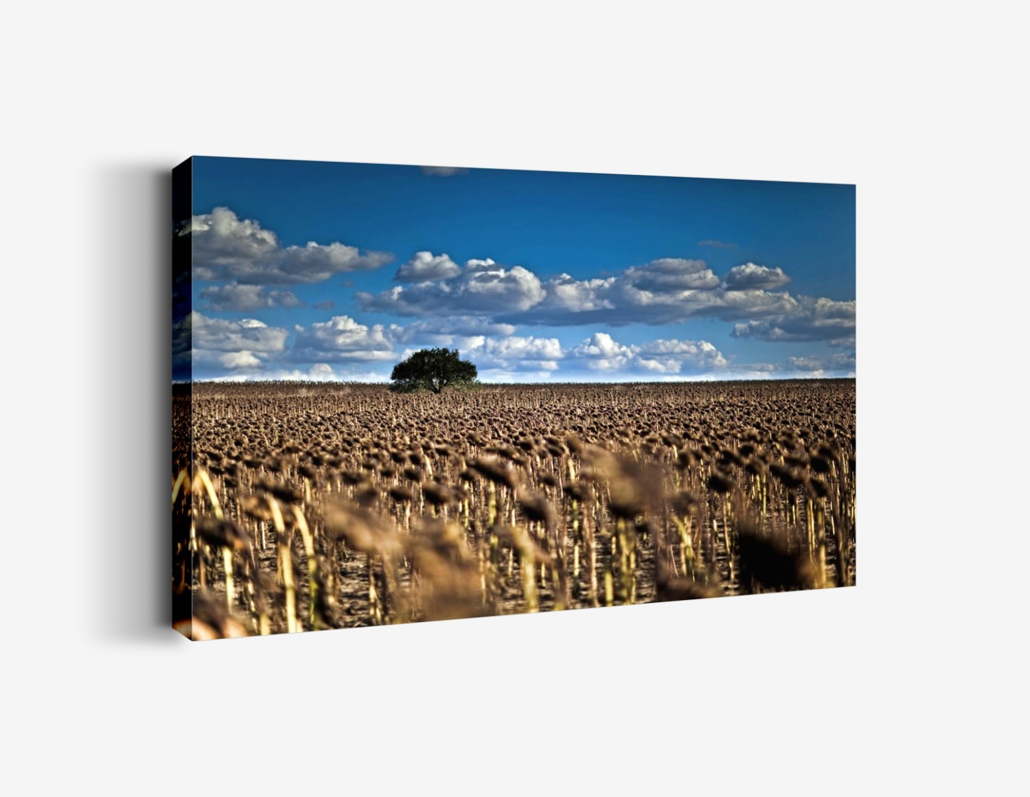 Kalabalıklar İçinde (Alpullu-Edirne) Tablo