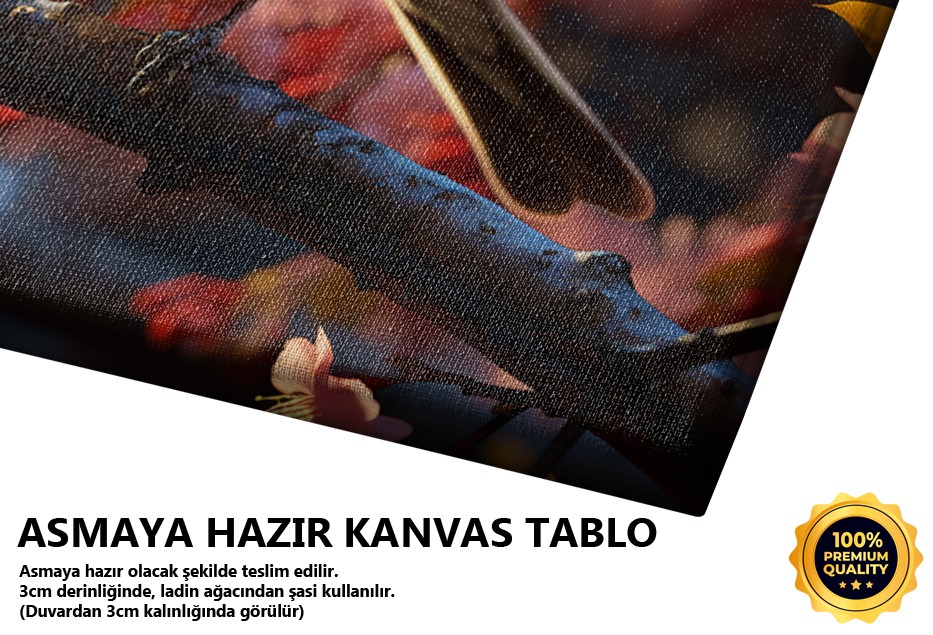Kiraz Çiçekli Dalda Güvercin