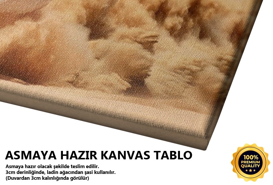 Çölde Koşan Beyaz At Tablo