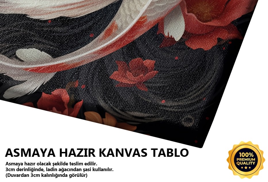 Japon Koi Balıkları