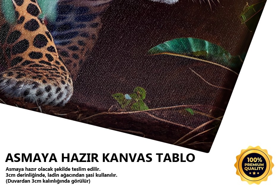 Ormandaki Leopar