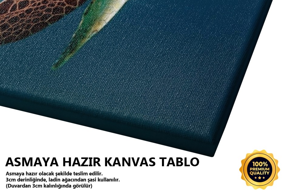 Su Kaplumbağası Tablo
