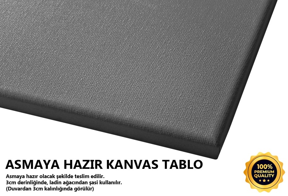 İşte Bu Kadar Sevmek -2008 Tablo