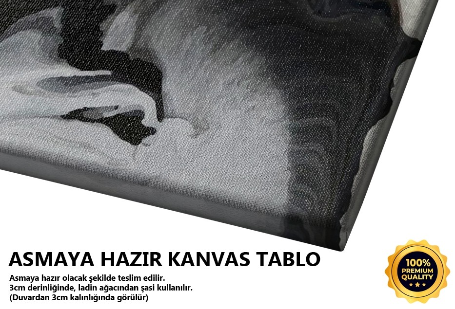 Kızgın Sular Tablo
