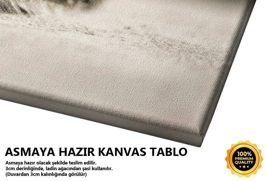 Kirpi Tablo